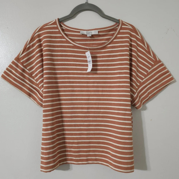 LOFT Nwt Boxy Oversized Cropped Peachy Brown & White Dot Striped Crewneck Tee, M - Picture 3 of 11